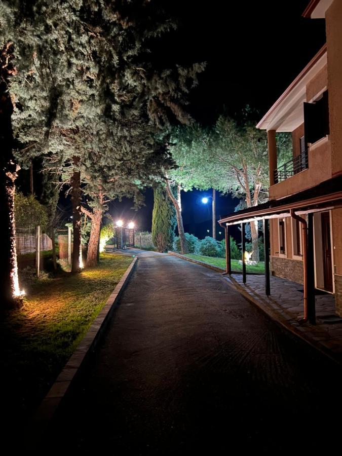 House In The Woods Apartment Karditsa Exterior photo